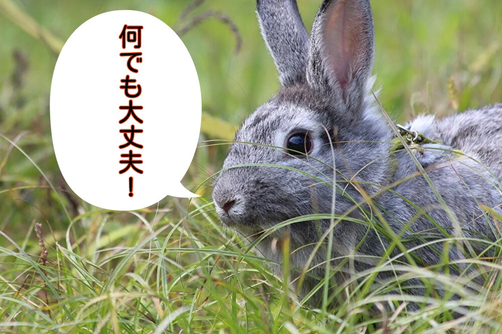 文数無制限！1時間！即レス！なんでも！お話聞きます 相談、愚痴や雑談をトークルームで聞きます。ぼくとお話しましょ イメージ2