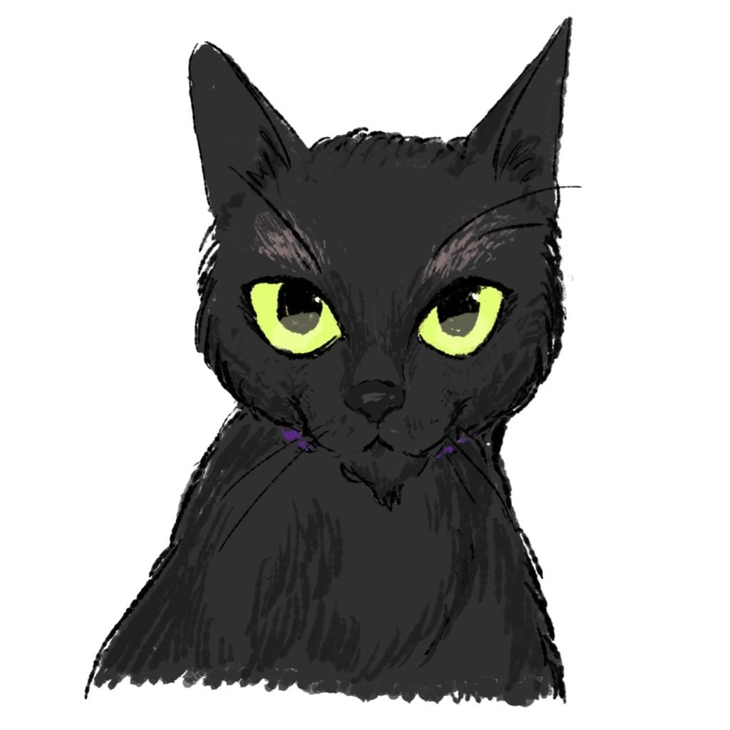 お家の猫ちゃん描きます 猫ちゃんのお写真を元にイラストを描きます イメージ3
