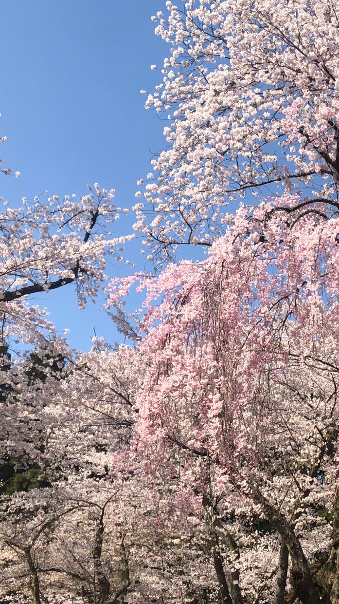 お悩み相談　お話・愚痴等、何でも拝聴します 【心理・産業カウンセラー資格保有】あなたの専属カウンセラー イメージ2