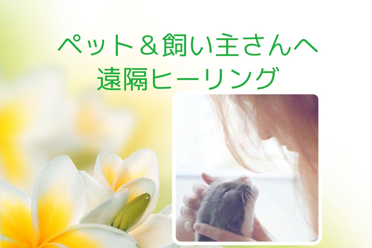 大切なペットちゃんと飼い主さんを癒します ☆３０分のリラックスヒーリング イメージ3