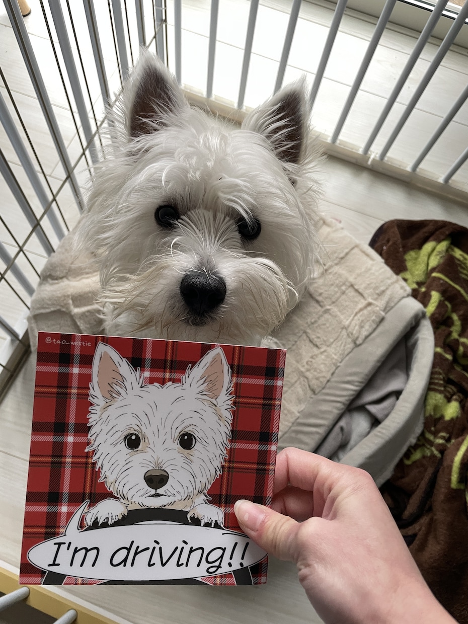 愛犬のイラストを描きます グッズ作製の利用OK 相談承ります イメージ1