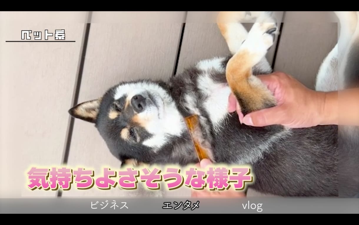ご要望に合わせて動画を編集します シンプルな編集の場合は急ぎ対応承ります！ イメージ5