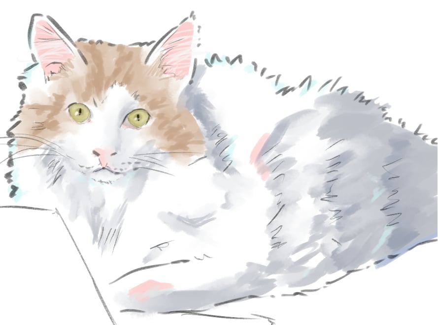 動物写真を水彩風に加工します ペットや好きな動物の淡く優しいイラストが欲しい方へ イメージ2
