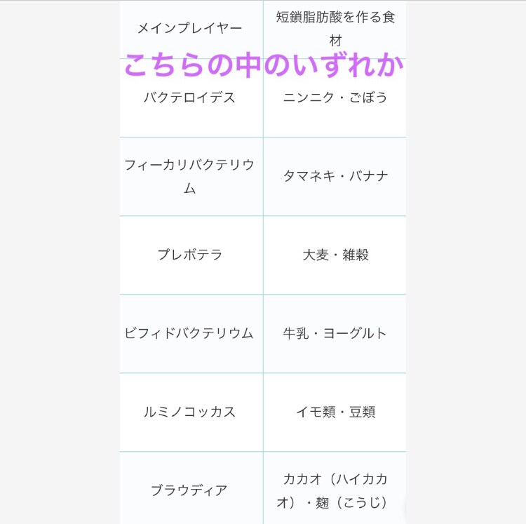 腸内フローラタイプと太りにくくなる食材お伝えします 無理せず我慢せず苦労せず、自分に合う食材を食べるだけ♪ イメージ4