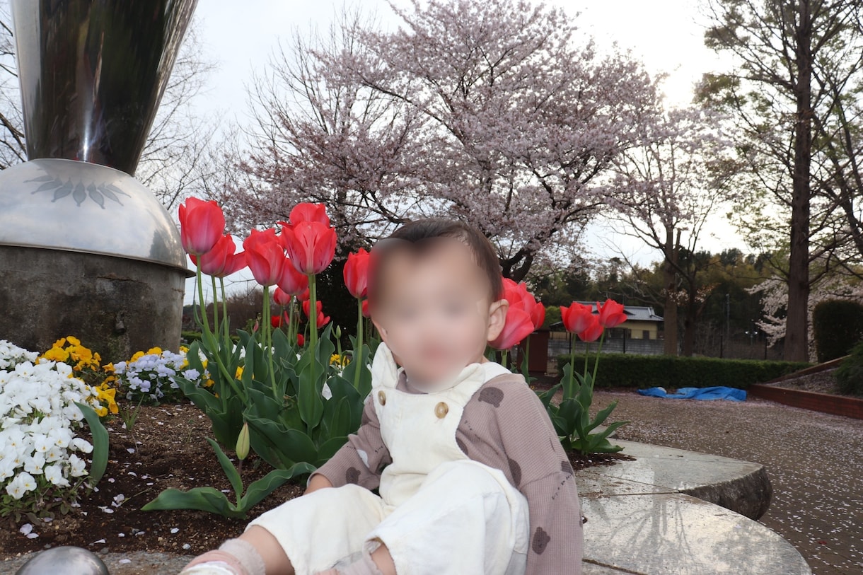 お子様の大切瞬間を思い出に残る形にします 保育士資格をもっている私が写真を撮影に伺います。 イメージ3