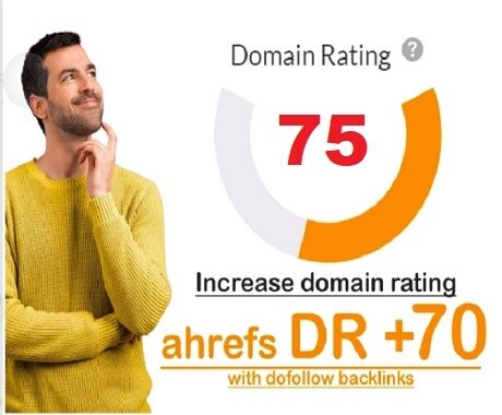 ブースト DR 70 ahrefます ブースト DR 70 ahref イメージ1