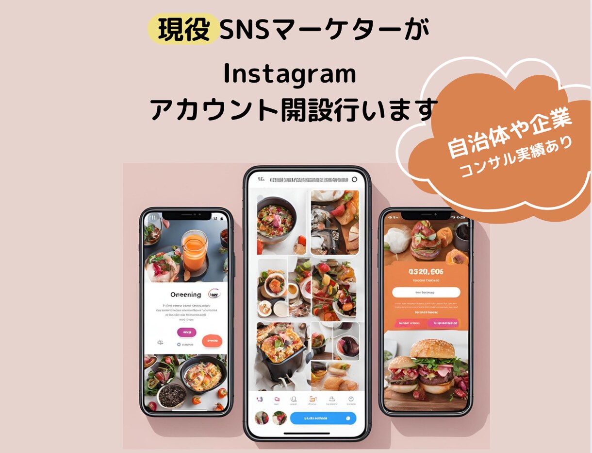 初心者向けInstagramの運用コンサルします 現役SNSマーケター（自治体・企業顧客実績あり）がサポート イメージ1