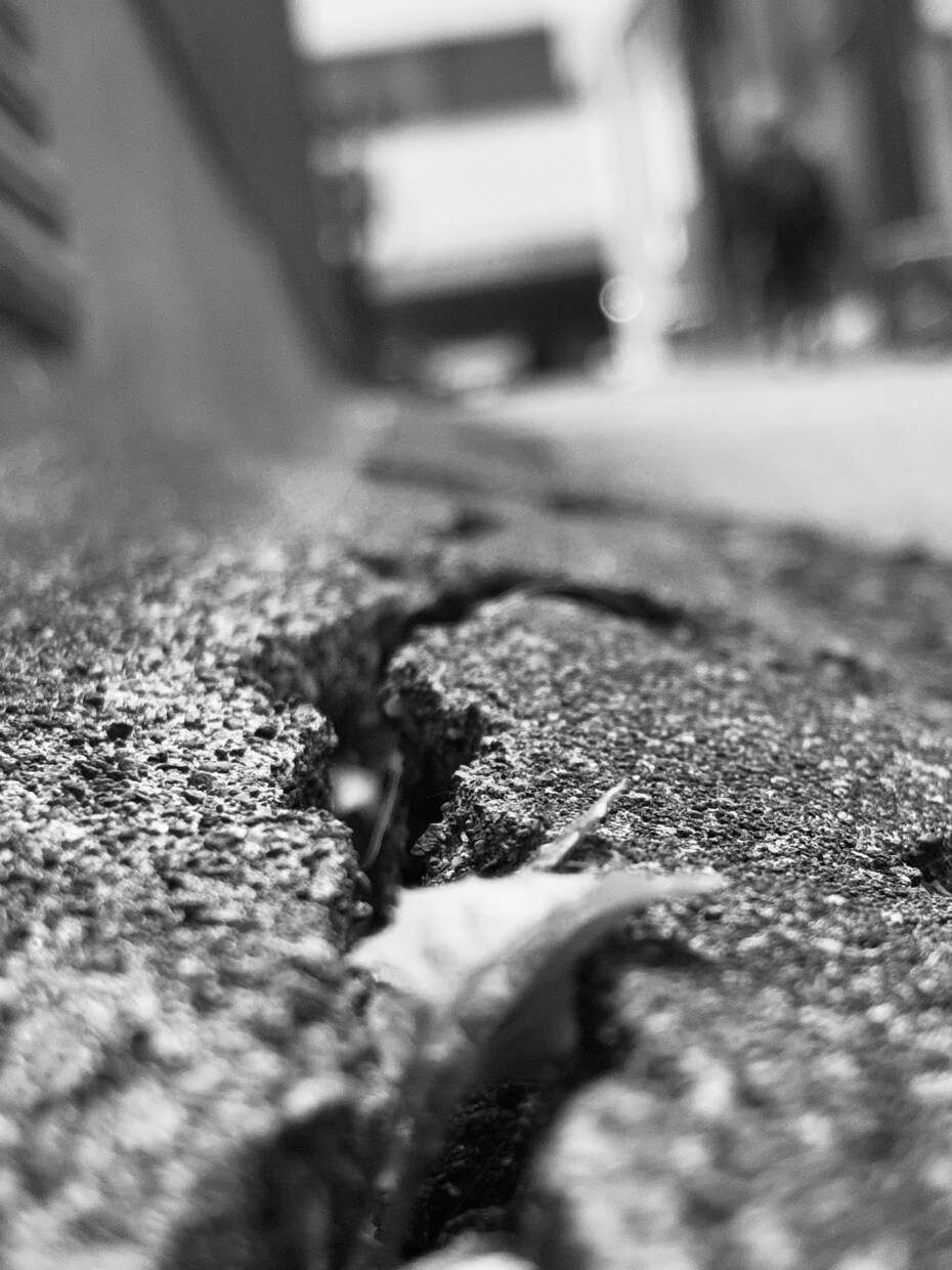 あなたの夢、鑑定します 夢は記憶整理の重要な装置。あなたに必要な情報をお渡しします。 イメージ6