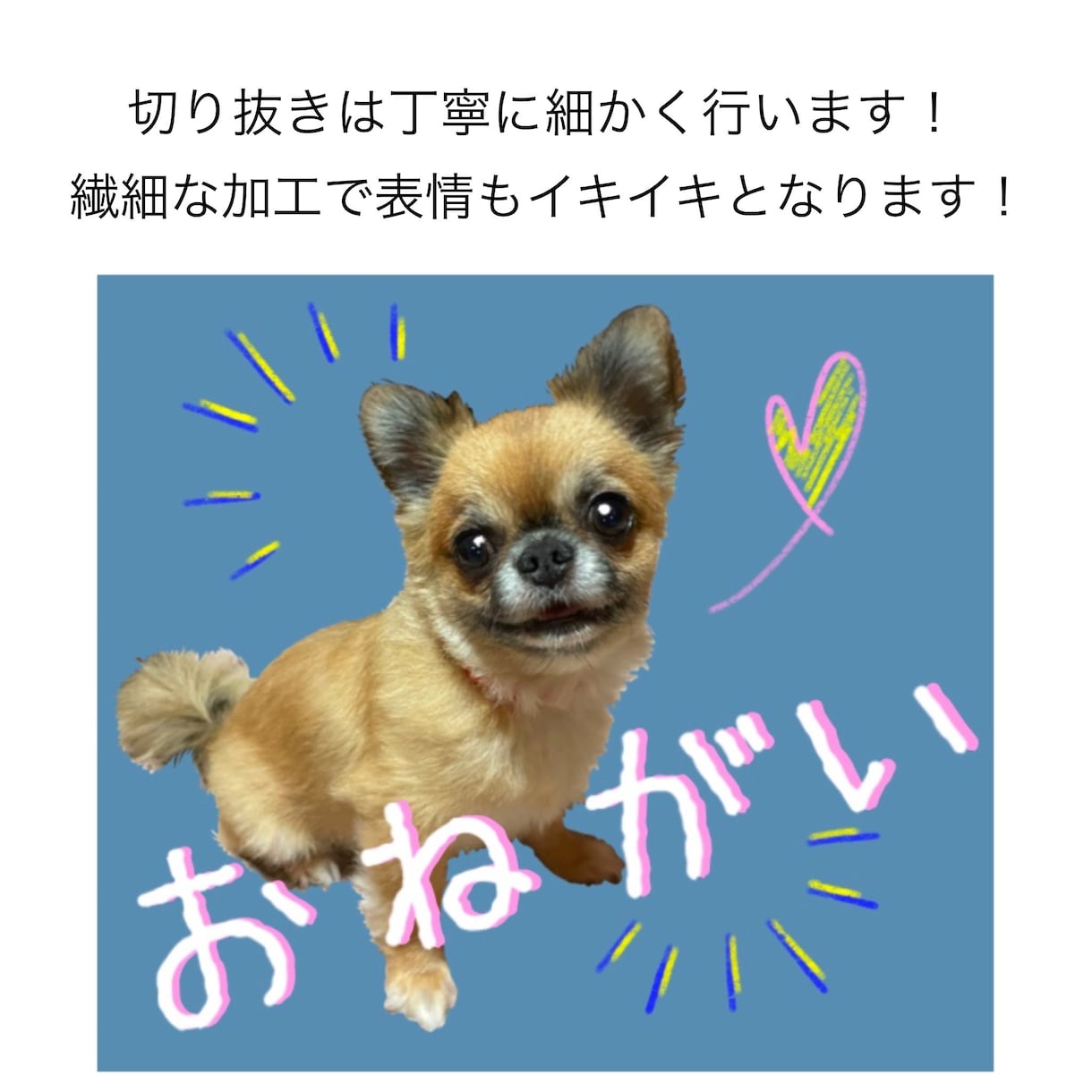 お子さんやペットの写真のLINEスタンプつくります オリジナルイラストでかわいいうちの子スタンプ16個作成します イメージ2