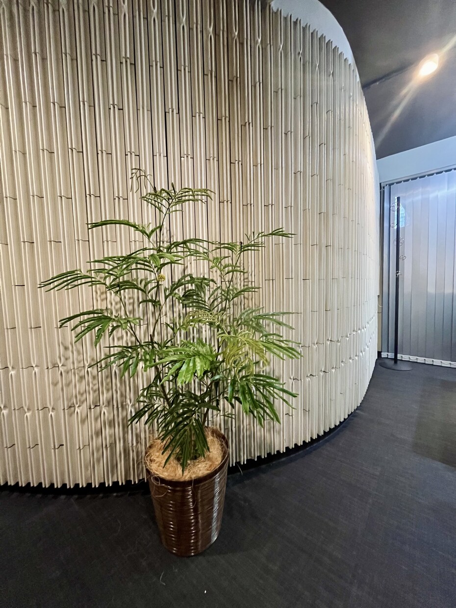植物のプロが観葉植物のお悩みに答えます 元代官山の花屋の店長がアドバイス イメージ4
