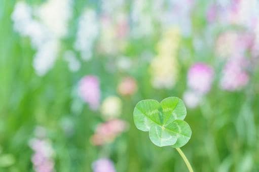 願いが叶うのかを占います 私の願いは叶うの?ズバリ聞きたい。アドバイス知りたい。 イメージ7