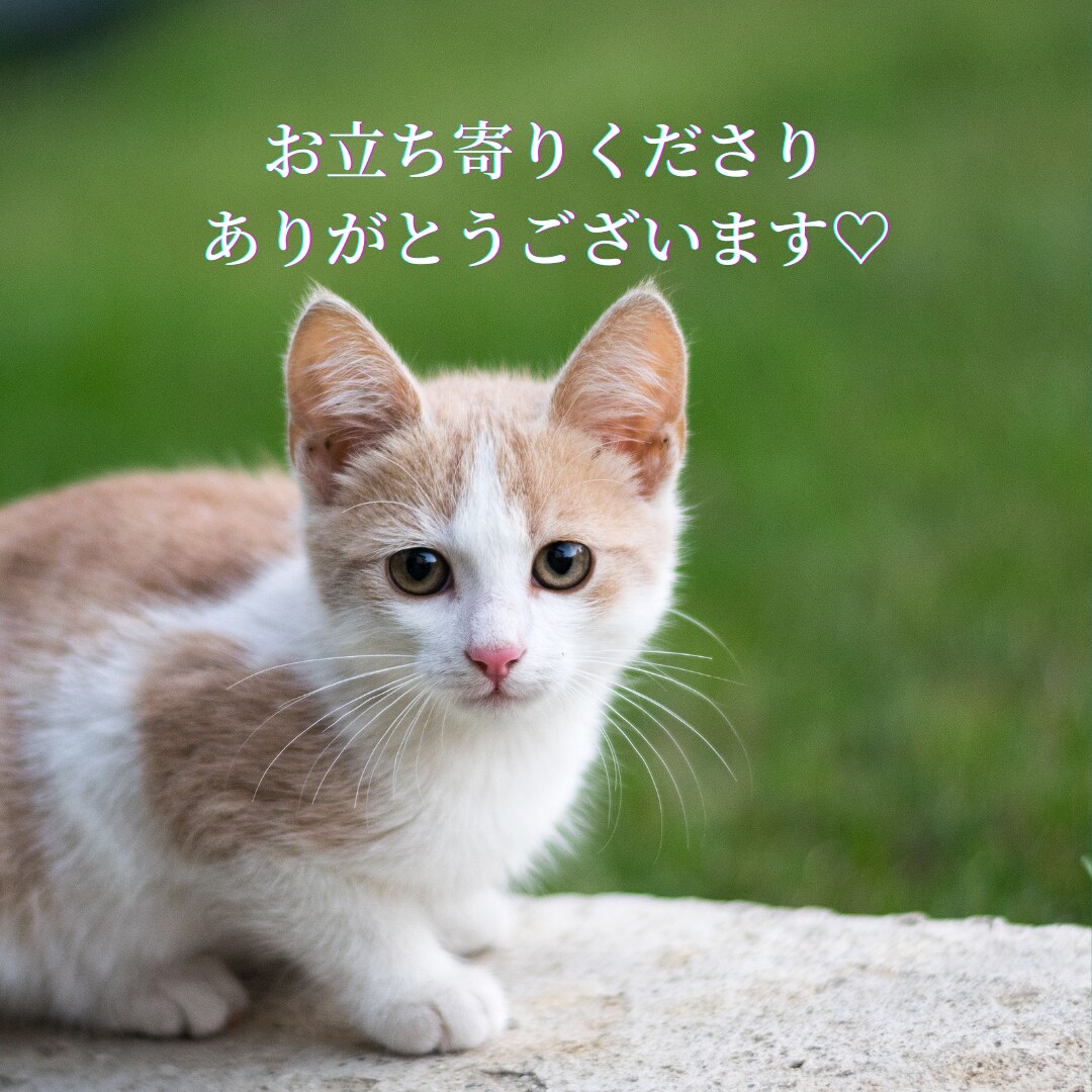 チャット鑑定30分✿癒やしながら知りたいに応えます 手放し心を開放♡あなたのペースで！平日昼間と20〜22時対応 イメージ10