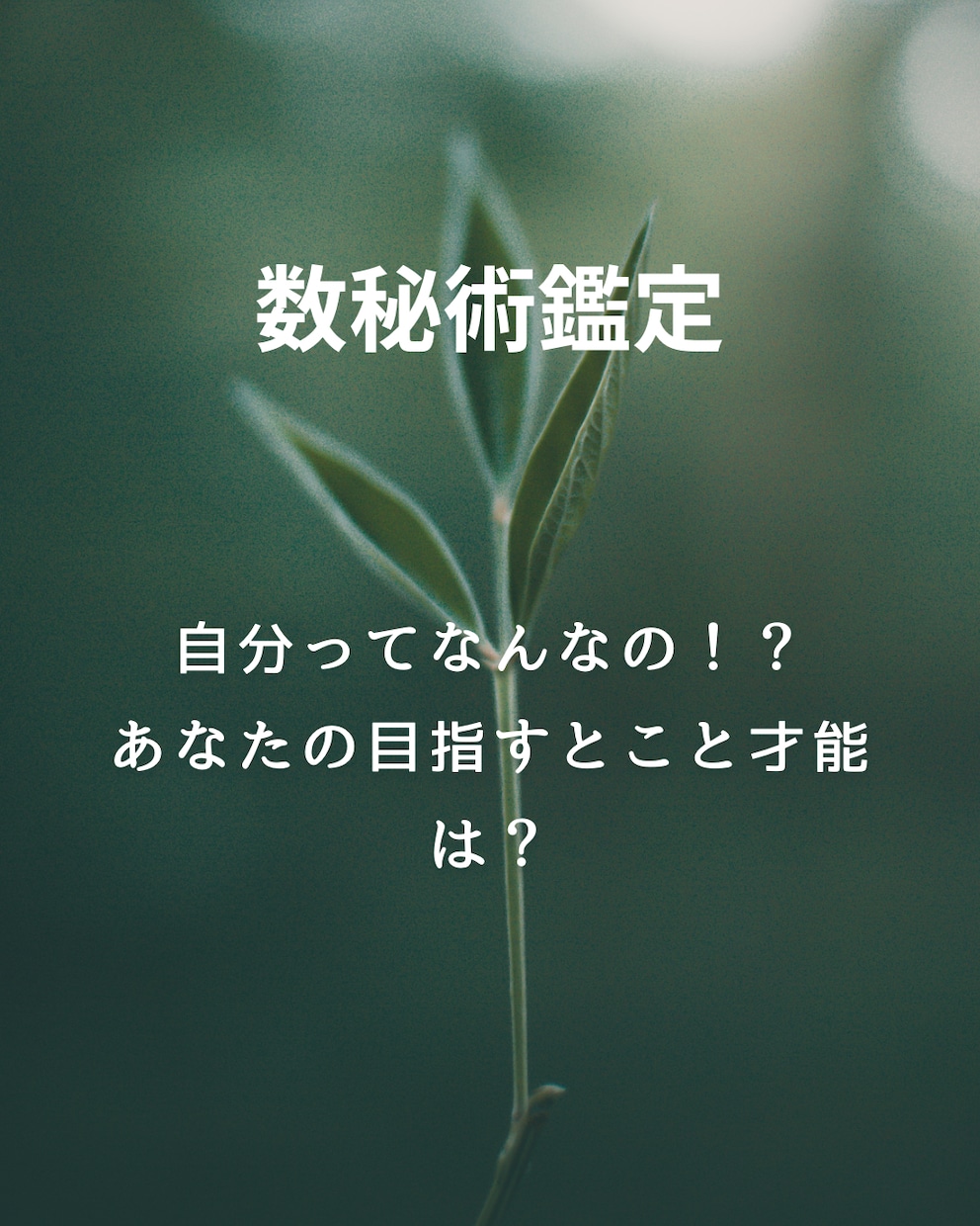 自分ってなんなの！？あなたの本質と才能を解明します その違和感ちゃんと理由があります。 イメージ1