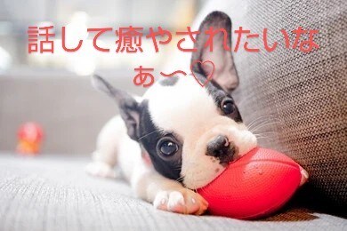 NGなし♡あなたのお望みは？？本音お聞きします 癒やしボイスで耳、心を満足♡雑談/愚痴/秘密/相談/モヤモヤ イメージ10