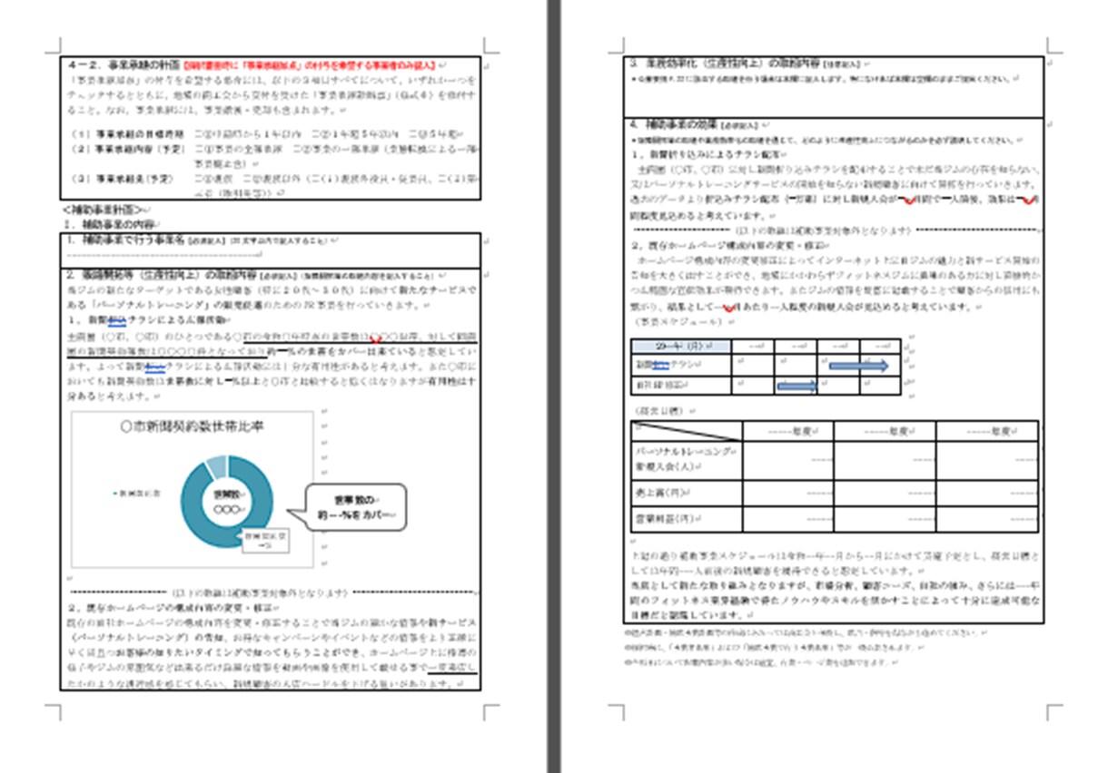 格闘技ジム★持続化補助金採択書類をお譲りします 採択済みの事業計画書を【テンプレート】としても利用できます！ イメージ5