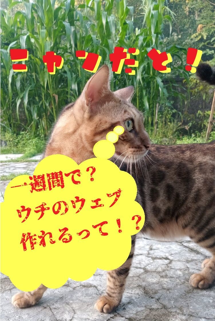 伊豆市在住の小規模事業者向け特別プランを提案します 【スターターパック】７日間で立ち上げる事業用ウェブサイト イメージ1