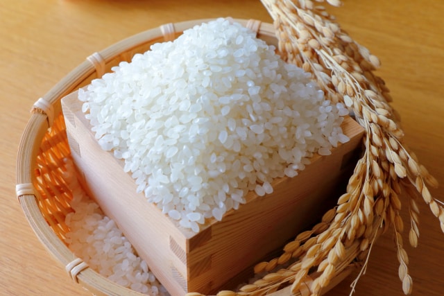 顔出し・通話なし！1週間チャット栄養相談ます 文章だけで完結！1週間チャット栄養相談、優しい食べ方の工夫 イメージ1