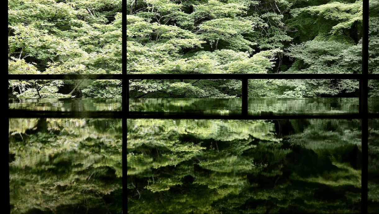 京都切リ撮リ宅配便！ご希望の写真を撮ります 京都の思い出の場所・人・物・事 の写真を撮ってきます イメージ7