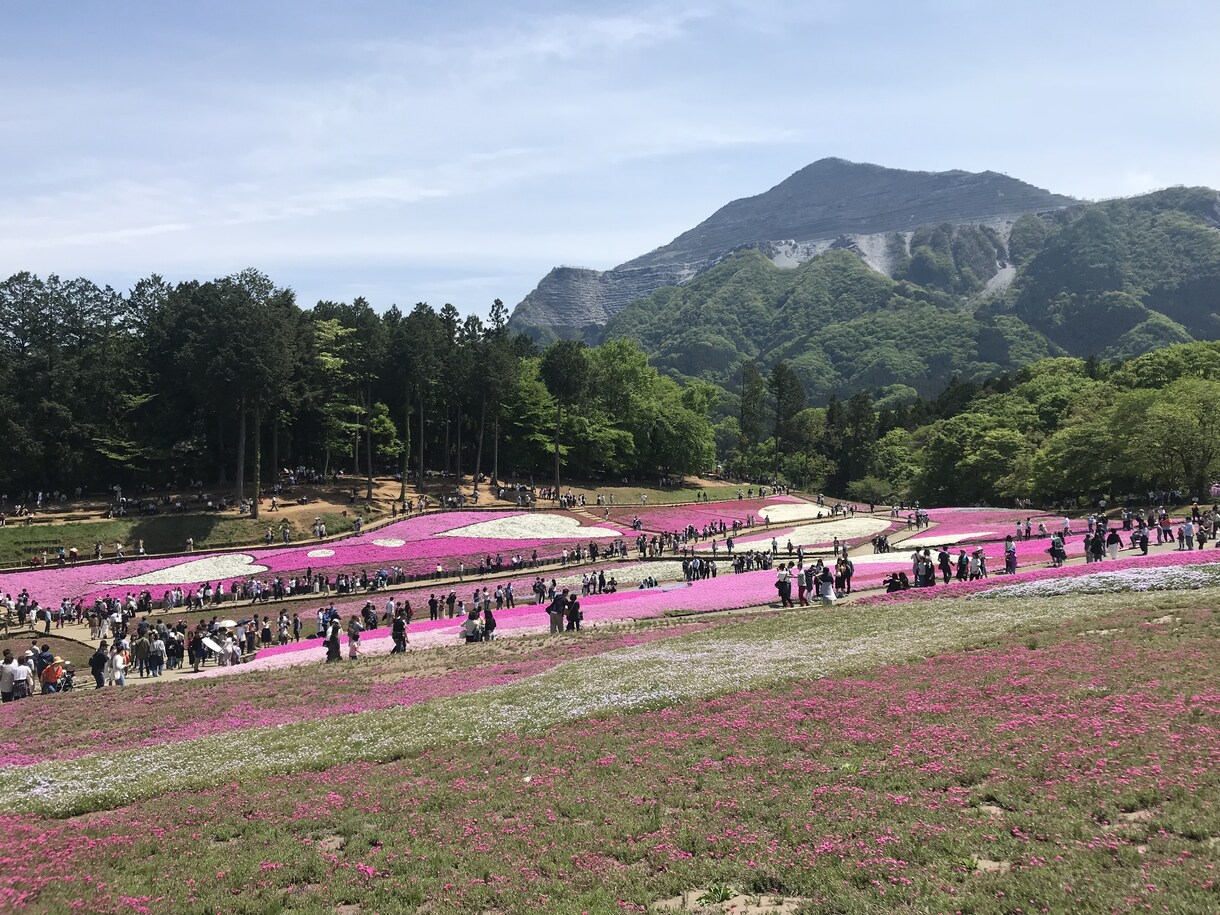 20代の元アナウンサーが電話で相談に乗ります 現在は面接官も！お悩み相談・アドバイスや面接練習など イメージ1