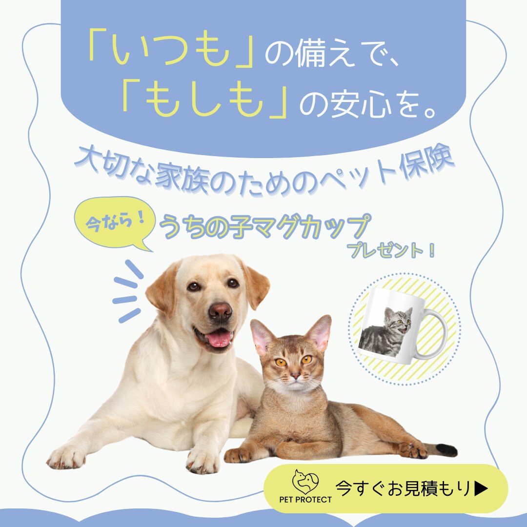 マーケ視点・30代女性に刺さるデザインをします ターゲットに合わせた色使いやフォントでクリックを誘導します。 イメージ2