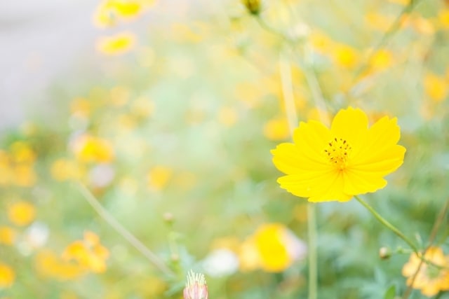 ママ友は人間関係の縮図！男性ももちろん活用できます 一緒に考えて実践へ❤きっとプラスになりますよ。 イメージ5