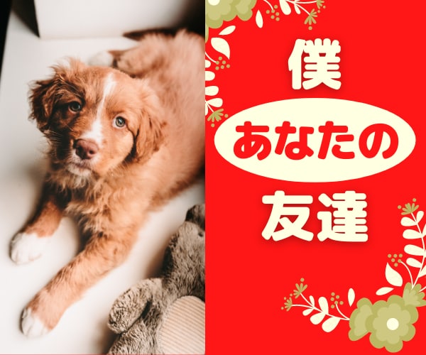 もうたえられない！あなたのゆううつに寄り添います パートナー、子供、会社での上司、同僚との人間関係をゆるめます イメージ1