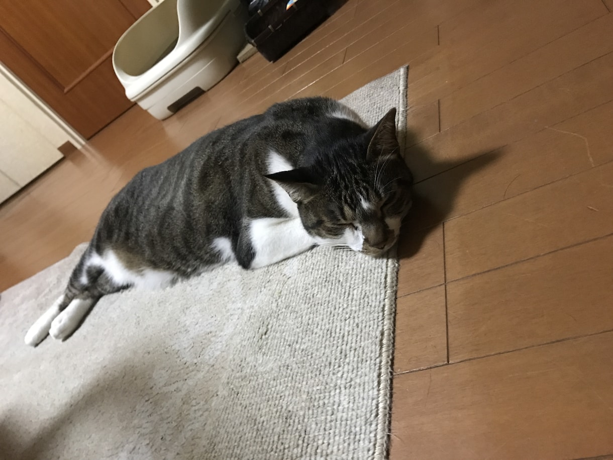 色の力で性格を変える！色を使った印象操作教えます 色だけであなたの性格や周りの性格を変えたい時発見 イメージ1