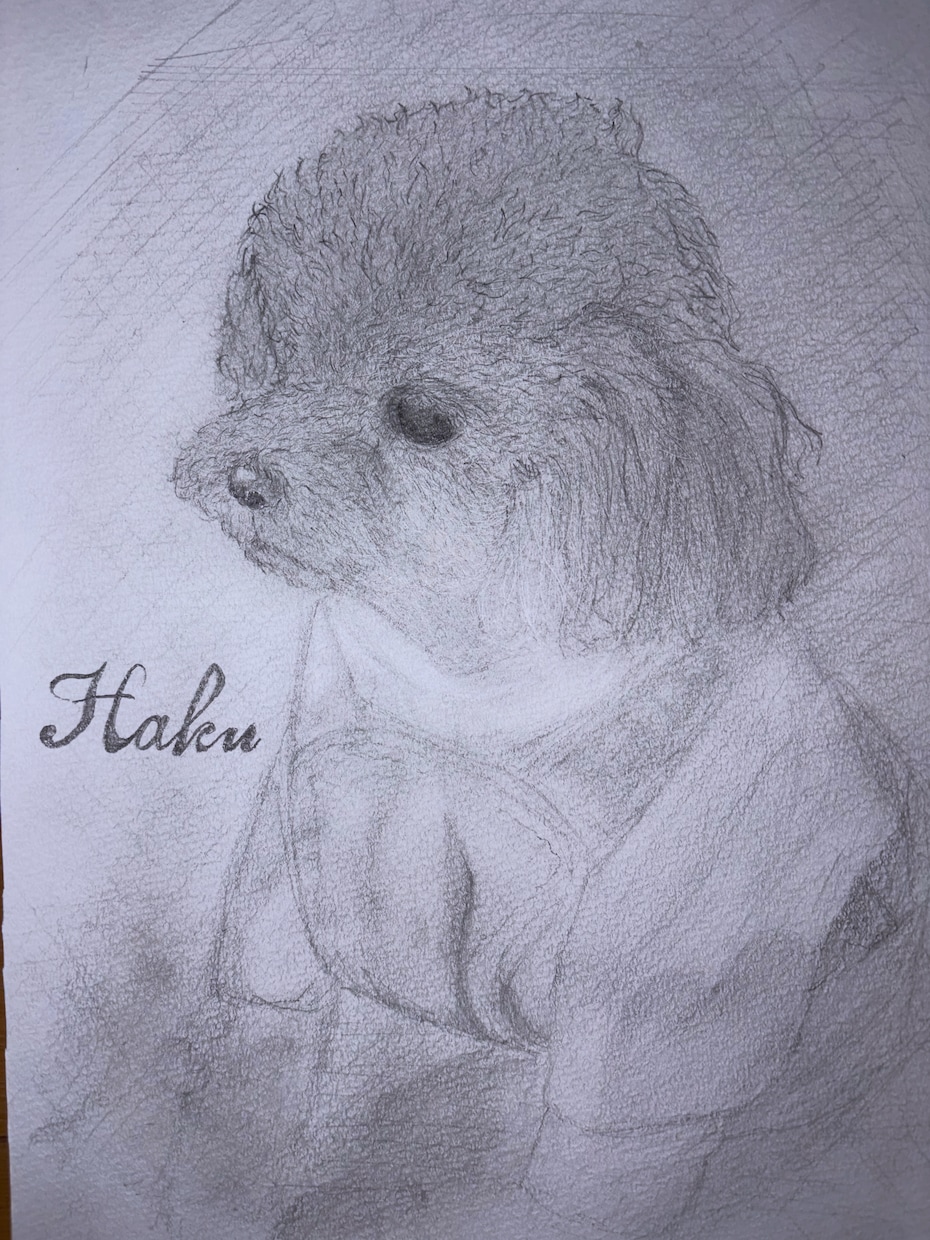 世界に一枚だけの愛犬鉛筆アートを制作します 一生残る愛犬の肖像画を鉛筆一本で制作させていただきます イメージ1
