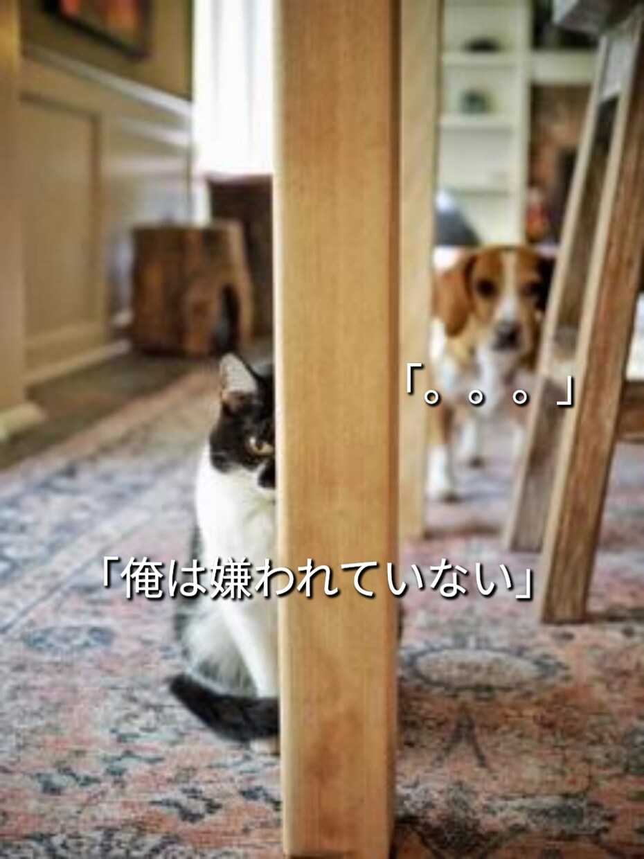 気軽に使ってね♪あなたの女友達になります 女性と話す練習や恋愛相談・雑談・愚痴・優しく受けとめます。 イメージ2