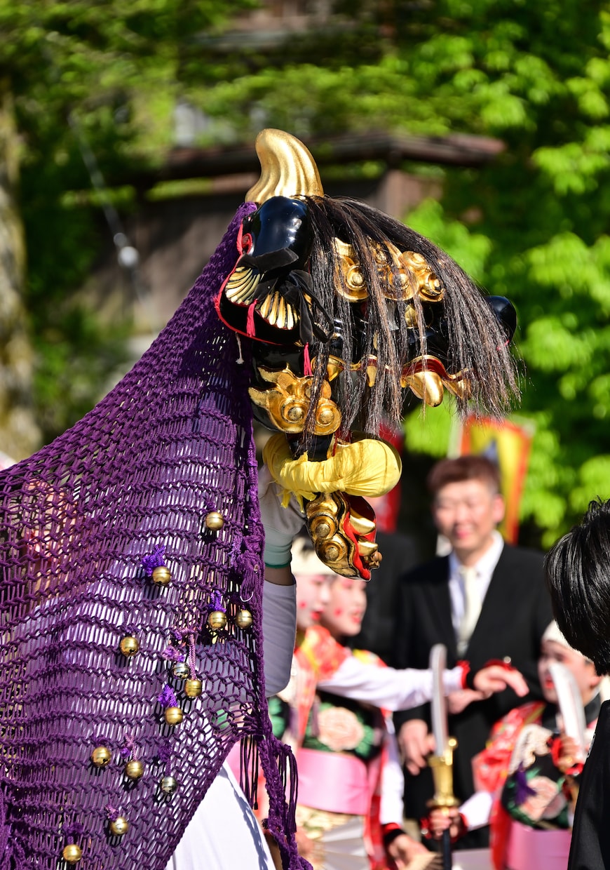 井波よいやさ祭りの写真を提供します ６つの神輿が町内を練り歩き、魔除けの獅子舞も披露される伝統祭 イメージ2