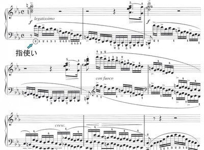 ピアノ楽譜に指番号書き込みます ペダルに頼りきらず、無理なくなめらかに弾きたい方に! イメージ1