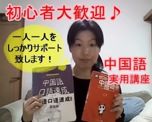 初心者向け！中国語基礎文法＆会話レッスンします 元中国大使館職員による実用中国語講座 イメージ1