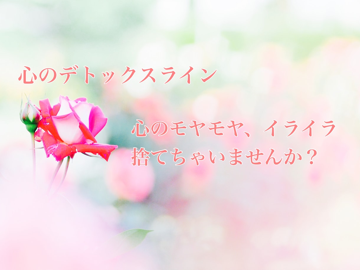 日頃たまった、あなたの心の叫びをお聞きします 【心のデトックスライン】あなたのための「本音の部屋」 イメージ5
