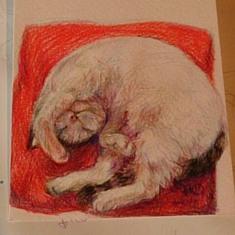 小動物のイラスト描き〼 イメージ2