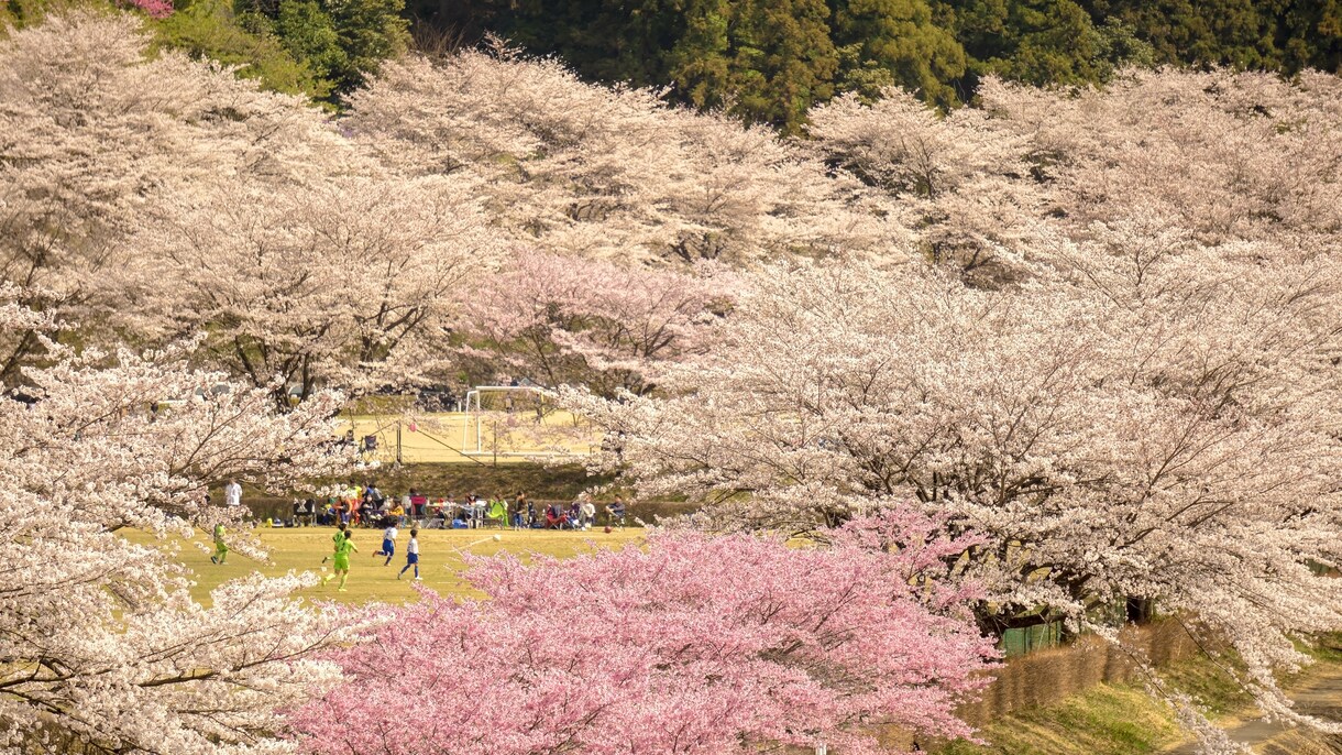 写真素材撮ります 旅好きなライダ－が素敵な写真を提案します。 イメージ4