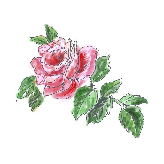 イラスト、挿絵を作成します ホームページやパンフレットに手描き風イラストを挿入したい方に イメージ1