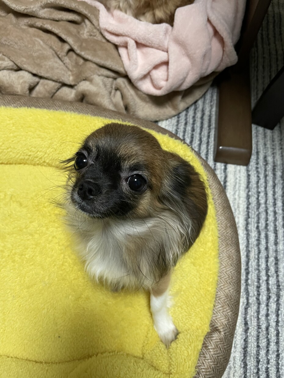 精神的な病気、うつ病でも恋愛や結婚できます 辛い努力も救われるはず！恋愛や結婚で人生が180度変わります イメージ9