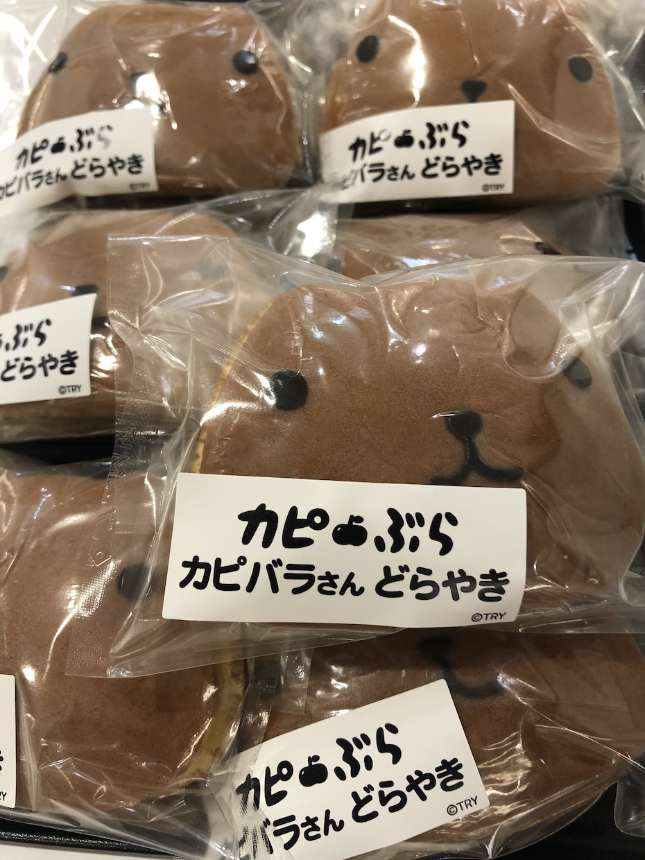 あなたの「ちょっと話したい」に寄り添います 5分だけでも、気軽にお話しませんか？どんな話しでもOK イメージ6