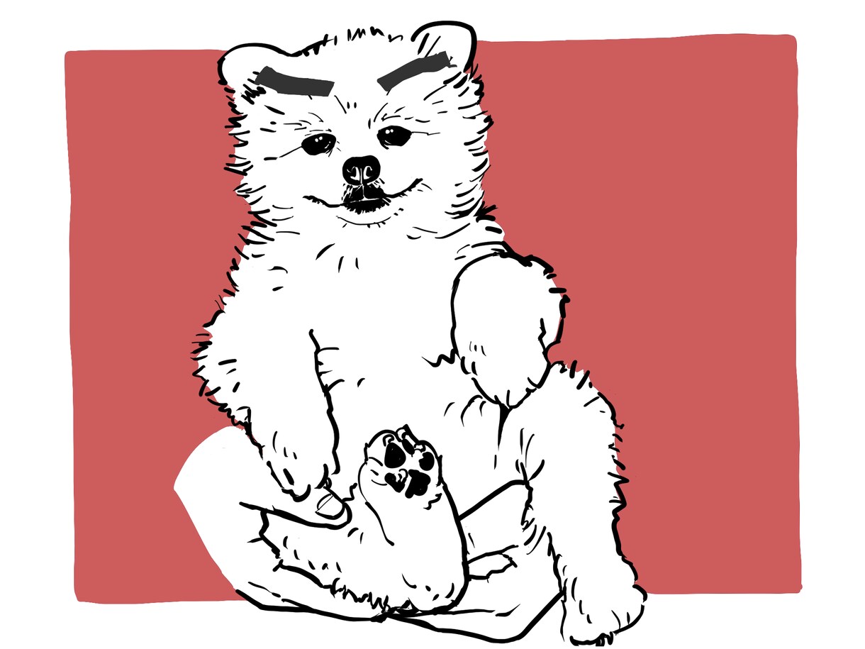 アイコンやグッズに使えるペット似顔絵を描きます ラフタッチでシンプル。自分だけのオリジナルグッズにも。 イメージ3