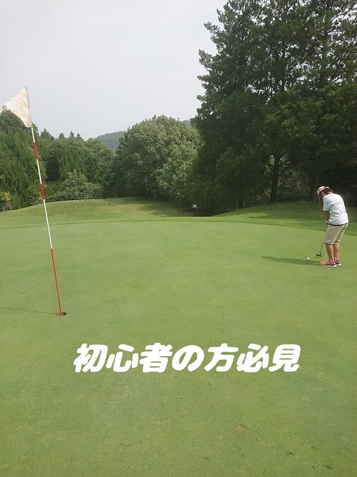 ゴルフ初めて半年未満の方、対価以上の効果与えます 初心者の方でもゴルフをもっと楽しくパワフルスイングに イメージ1