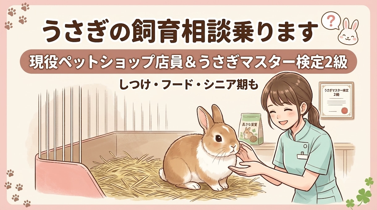 うさぎの飼育・しつけ・飼い方の相談のります うさぎマスター検定2級所持のプロが、リアルな悩みを解決！ イメージ1