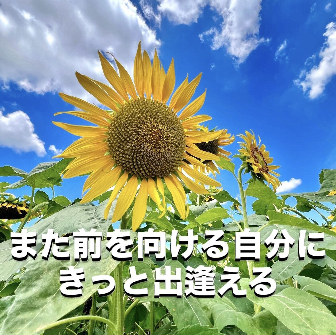 今すぐ話したい！あなたの想いを優しく受け止めます ✨話すだけで心が軽くなる！あなた専用メンタルパートナー✨ イメージ2
