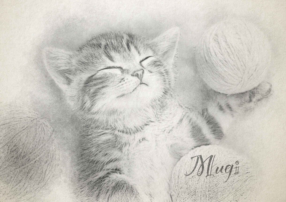ふんわり優しい鉛筆画風似顔絵お作りいたします デジタルデータ納品♡A4サイズプリントプレゼント*ᴗ ᴗ)⁾ イメージ3