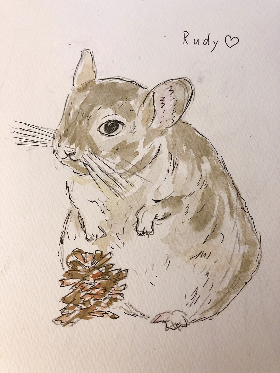 あなたの大切なペットのイラスト描きます 水彩のイラストでかわいいペットのイラスト等を描きます。 イメージ5