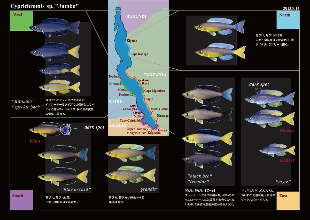 イラスト作成します SFメカや乗り物の絵が得意です。 イメージ7