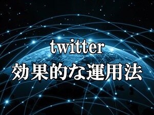 Twitterの”効果的な”運用方法を教えます 全世界上位0.02%の拡散力を持つインフルエンサーが伝授！ イメージ1