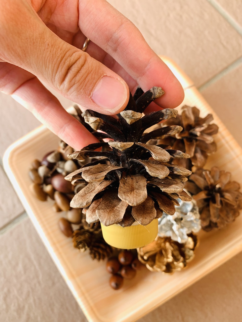 木の実などの自然物を集めます まつぼっくりやどんぐりなど、秋の自然物を集めます。 イメージ4