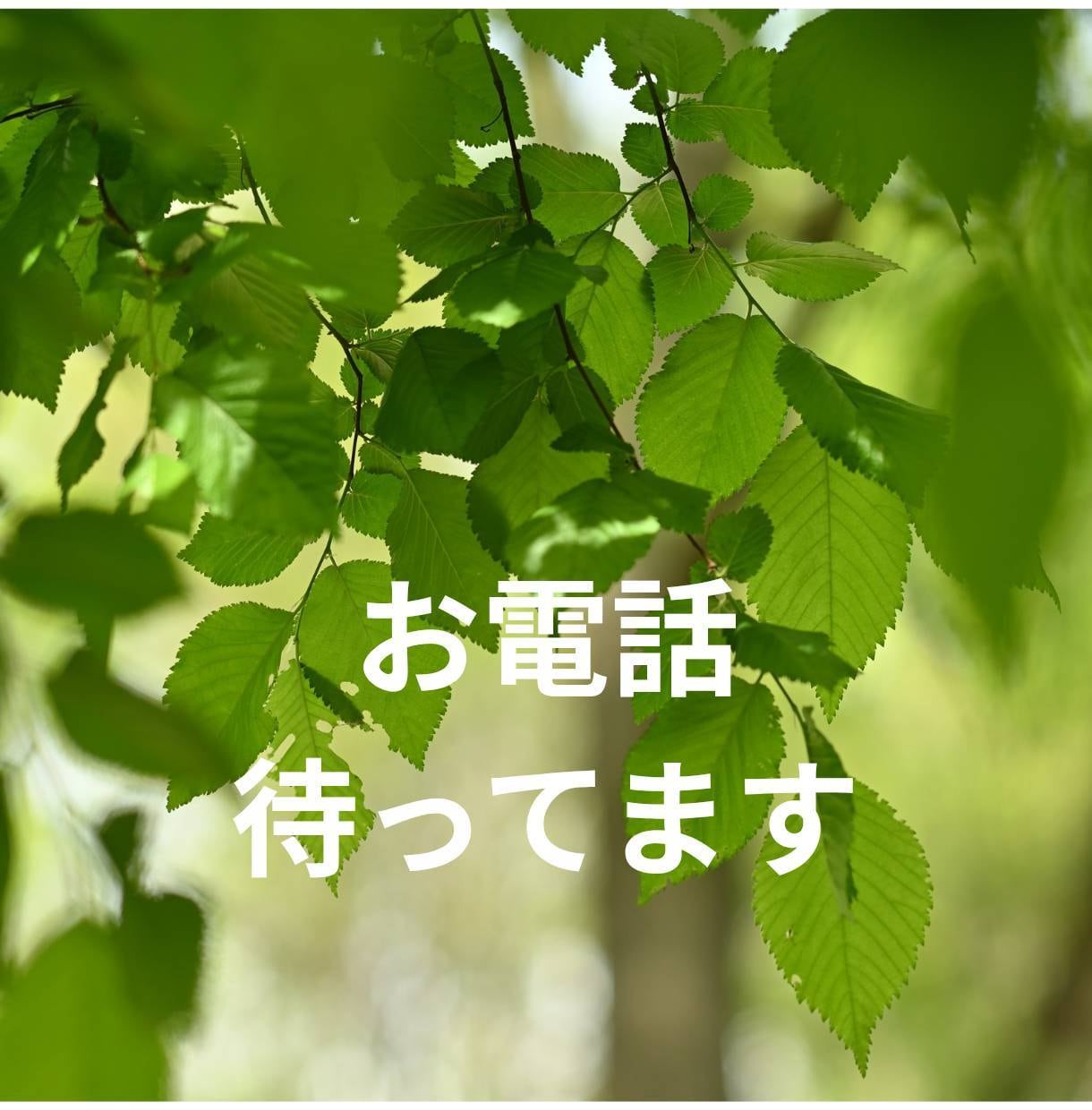 あなたのお悩みお聴きします 雑談/不安/悩み/モヤモヤ　どんなことでもお気軽にどうぞ✨️ イメージ7