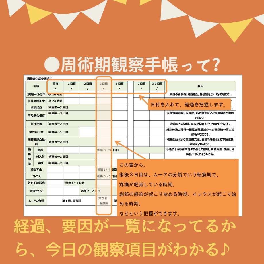 過去の看護実習記録★テンプレ★いろいろ教えますます 【すらすらパック】目標★関連図★周術期メモもあります♪ イメージ6