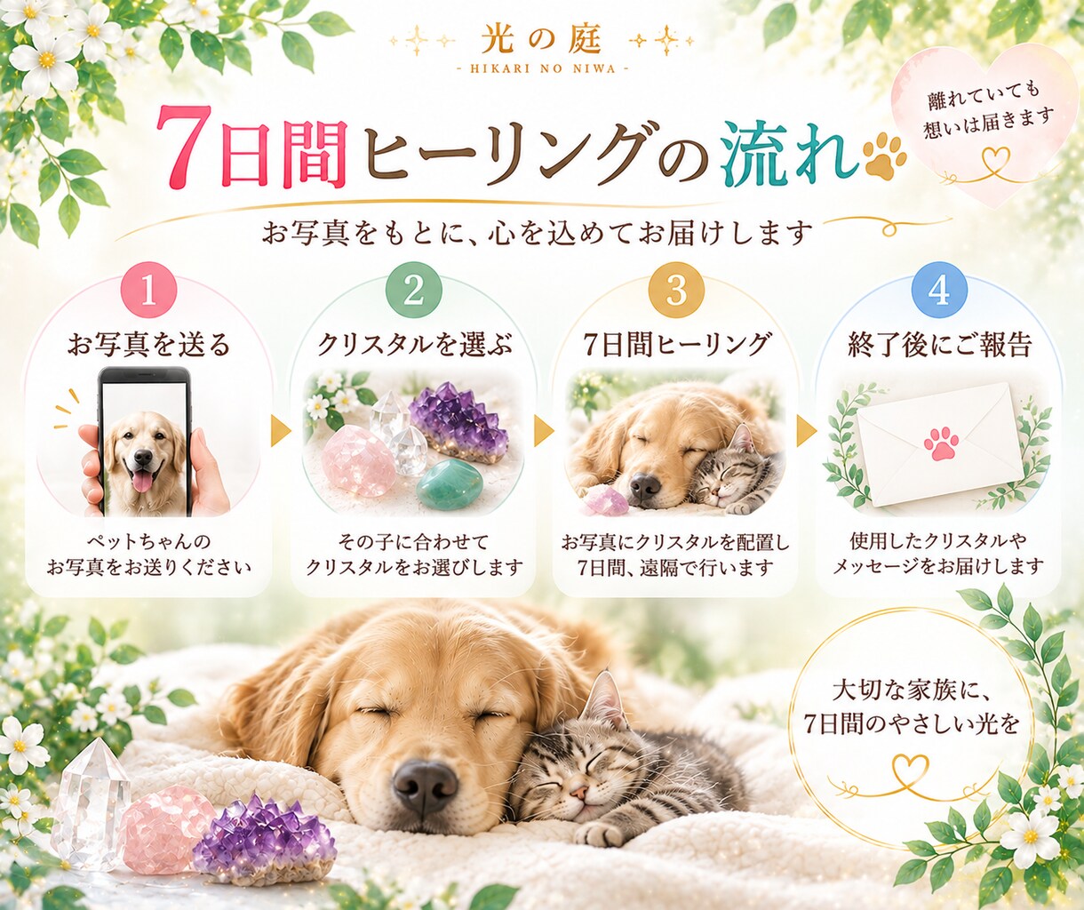 大切なペットを7日間クリスタルの光で癒します その子に合わせたクリスタルを選び、7日間やさしく寄り添います イメージ6